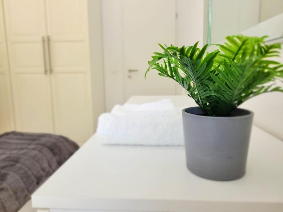 Apartment Palma - Central & Cozy With Free Private Parking Лугано Экстерьер фото